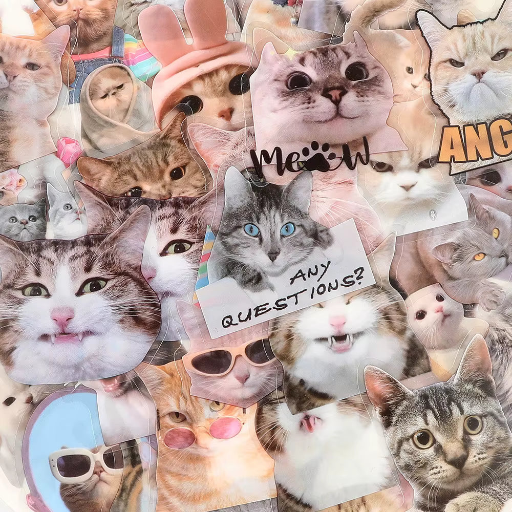 10/30/50pcs Cute Cartoon Realistic Cat Transparent Stickers Funny MEME Graffiti Decals Waterproof DIY Scrapbook Guitar Notebook