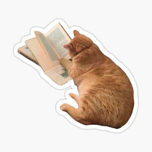 "Orange Cat Reading a Book" Vinyl Sticker - Cute Funny Ginger Kitten Decal for Kindle, Laptop, Water Bottle & Journal - Bookish Gift for Cat Lovers, Readers & Bookworms