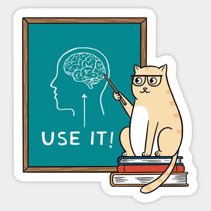 "Use It!" Funny Cat Teacher Vinyl Sticker - Sarcastic Brain Meme Decal for Laptop, PC, Water Bottle, Notebook & Kindle - Cute Humorous Gift for Coworkers, Students & Teachers