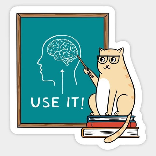 "Use It!" Funny Cat Teacher Vinyl Sticker - Sarcastic Brain Meme Decal for Laptop, PC, Water Bottle, Notebook & Kindle - Cute Humorous Gift for Coworkers, Students & Teachers