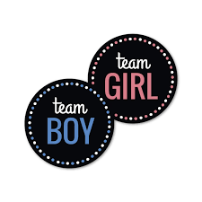 Team Boy Team Girl brooch badge 1